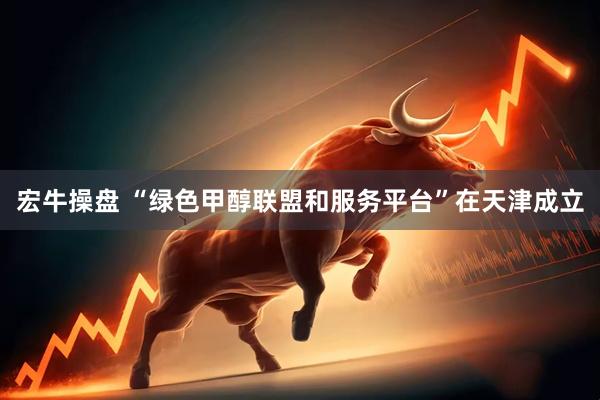 宏牛操盘 “绿色甲醇联盟和服务平台”在天津成立