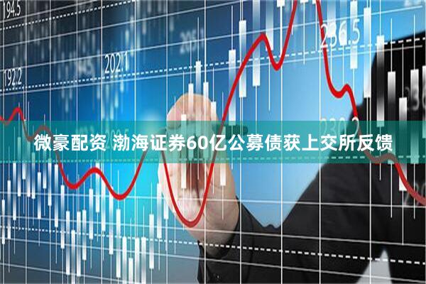 微豪配资 渤海证券60亿公募债获上交所反馈