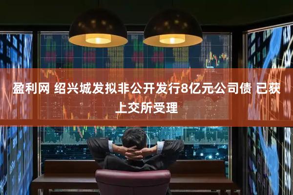 盈利网 绍兴城发拟非公开发行8亿元公司债 已获上交所受理