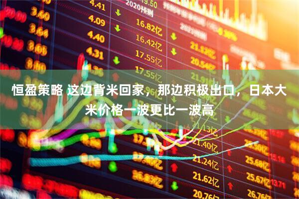 恒盈策略 这边背米回家，那边积极出口，日本大米价格一波更比一波高