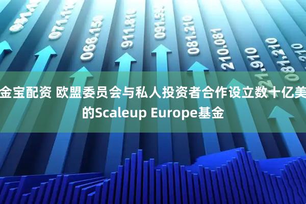 牛金宝配资 欧盟委员会与私人投资者合作设立数十亿美元的Scaleup Europe基金