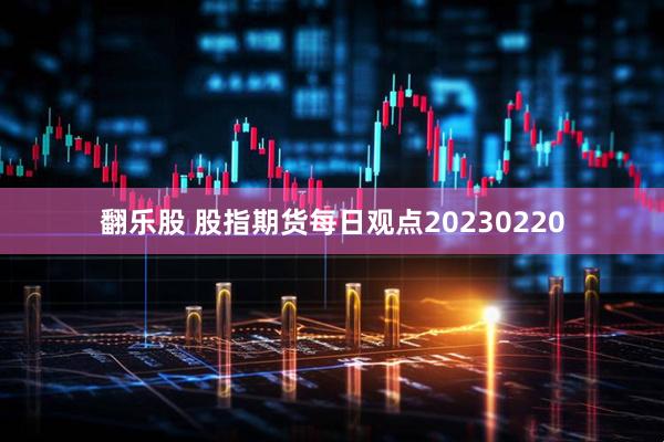 翻乐股 股指期货每日观点20230220